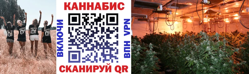 Купить наркотики Асино КОКАИН Меф ссылка на мегу как войти Бошки Шишки